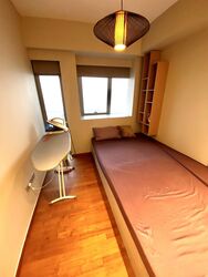 V On Shenton (D1), Apartment #605979121